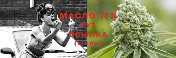 индика Верея