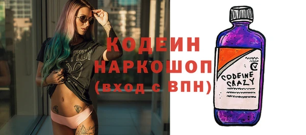 индика Верея