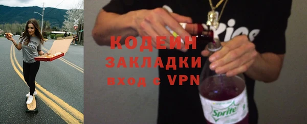 индика Верея