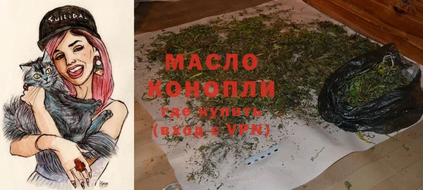 индика Верея