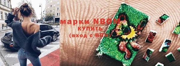 индика Верея